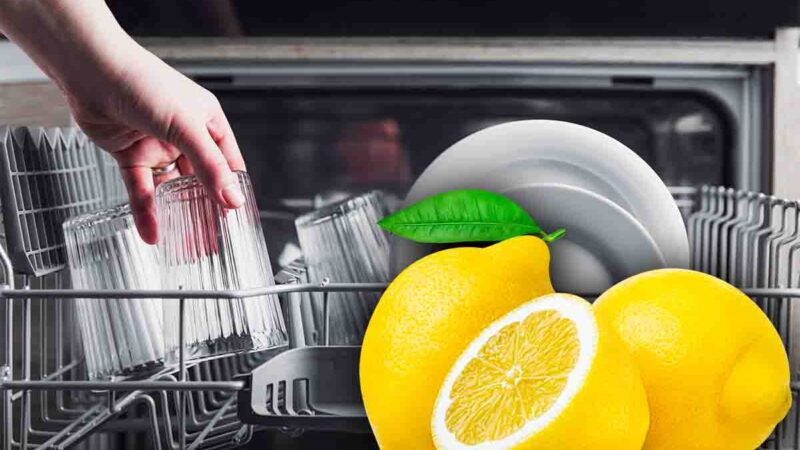 Limone posizionato nel cestello superiore di una lavastoviglie aperta.